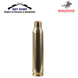 WIN CASES 38 SPECIAL (100)