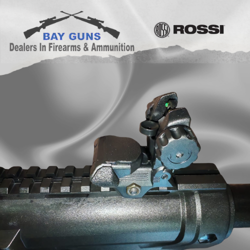 Rossi 7022 Delta Tactical .22 LR semi-automatic rifle with a black synthetic tactical stock, detachable magazine, and matte black finish. Lightweight and reliable rimfire rifle ideal for target shooting, small game hunting, and recreational plinking.